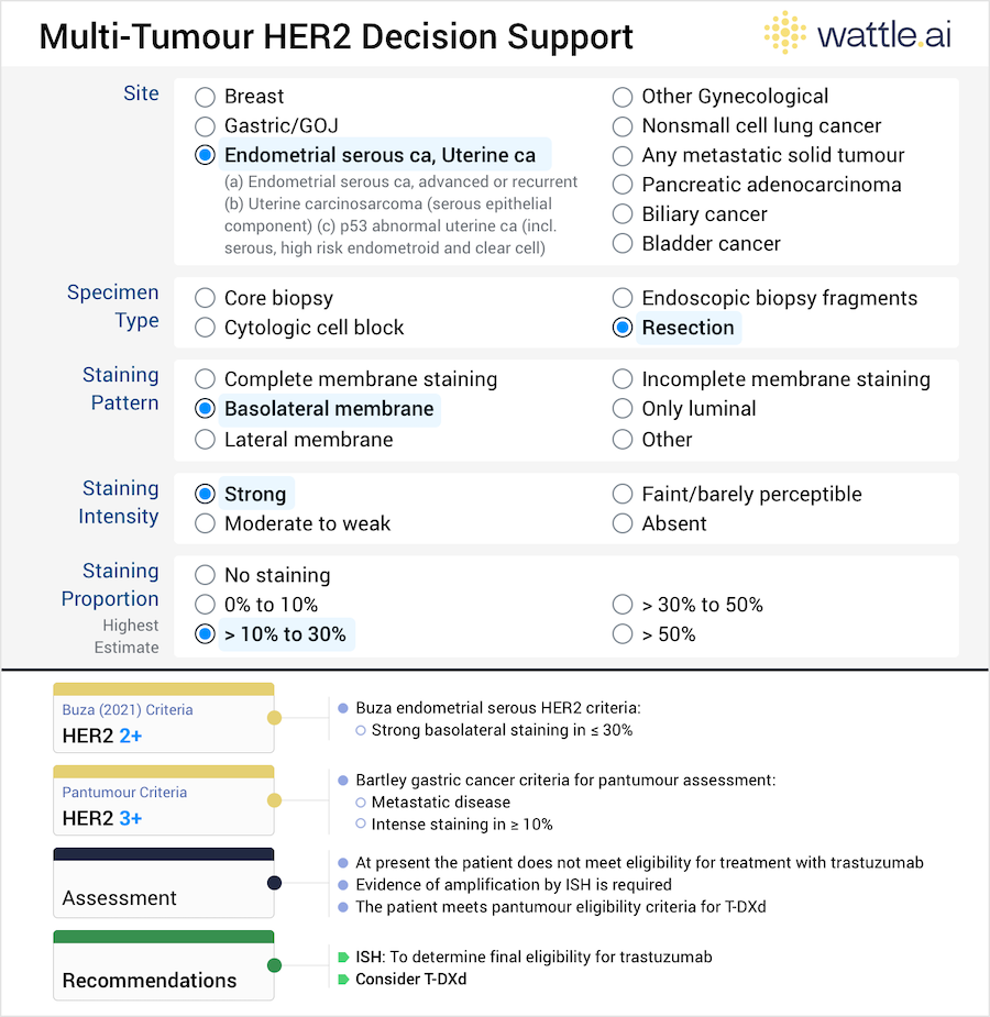 Wattle AI clinical decision support for multi-tumour HER2 testing